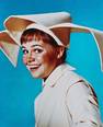 flying nun