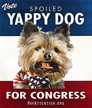 yappydog.jpg