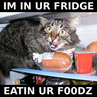 foodz.jpg