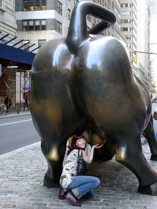 Bull Balls Photos