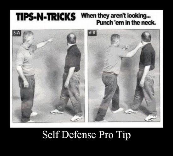 5770_1292_500_Self-Defense-Pro-Tip